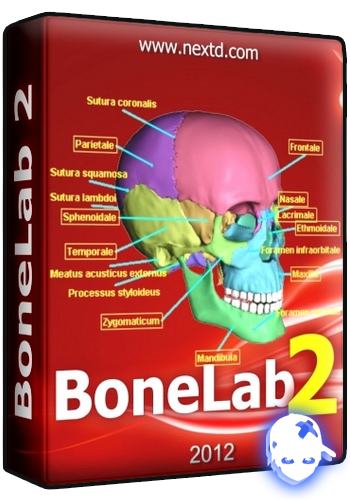 Няшкин BoneLab (2022)